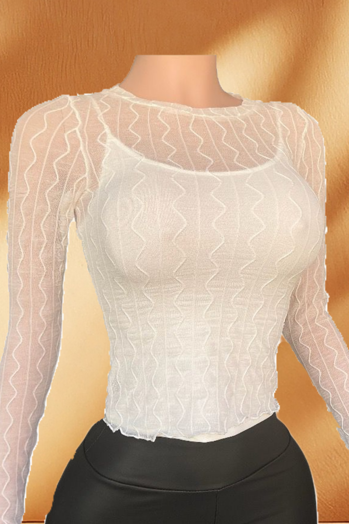 Sheer Long Sleeve Top
