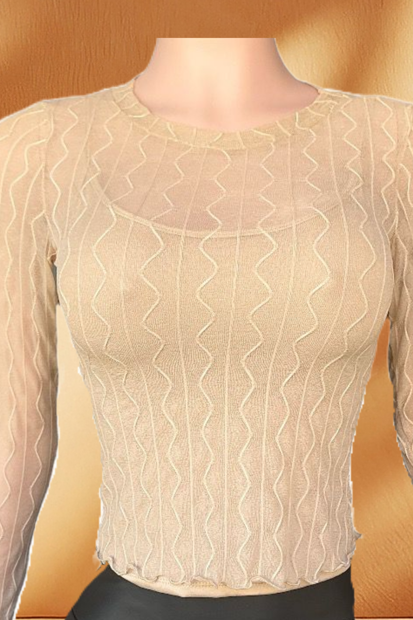 Sheer Long Sleeve Top
